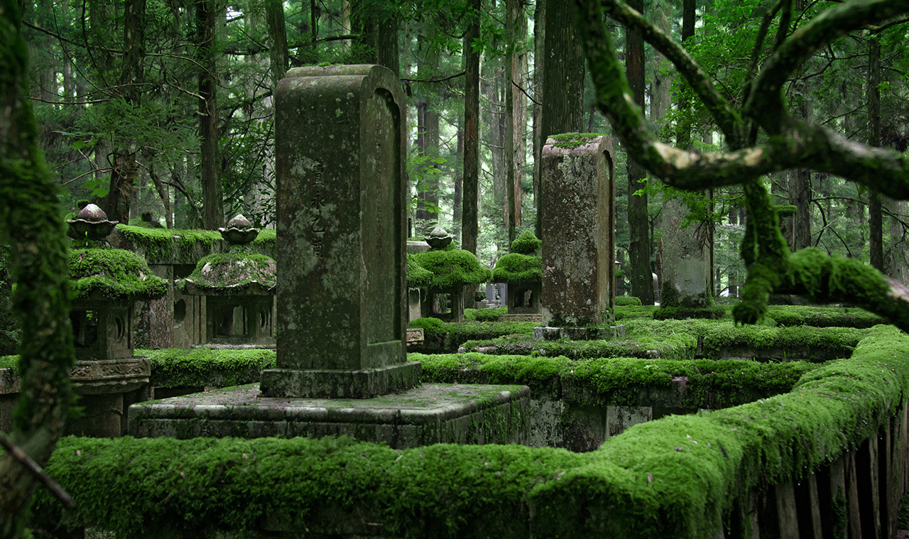 the okunoin graveyard in the forest